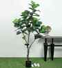 Fiddle Leaf Evergreen Artificial Plant (Green) Fiddle Leaf Evergreen Artificial Plant (Green)
