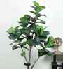 Fiddle Leaf Evergreen Artificial Plant (Green) Fiddle Leaf Evergreen Artificial Plant (Green)