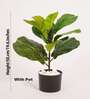 Artificial Fiddle Leaf Fig Plant with Black Pot
