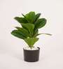 Artificial Fiddle Leaf Fig Plant with Black Pot