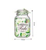 Set of 2 Fido Preservative Terrina Jar 300cl
