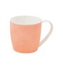 Pink Fine Ceramic Alton Vanilla Tea Cup Set Of 6