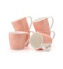 Pink Fine Ceramic Alton Vanilla Tea Cup Set Of 6