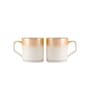 Orange Fine Ceramic Director Shine Tea Cup Set Of 6