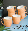 Orange Fine Ceramic Feast Kohinoor Orange Tea Cup Set Of 6