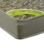 Fine Spine 6 inch Rebonded Foam Single Mattress