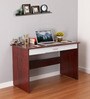 Finly Study Desk And Lorem Medium Back Chair (Combo) In Brown & White
