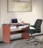 Finly Study Desk And Lorem Medium Back Chair (Combo) In Brown & White