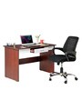Finly Study Desk And Lorem Medium Back Chair (Combo) In Brown & White