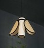 Firefly Worm Unique handmade Woven Hanging Pendant Light, Natural/Cane Pendant Light