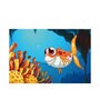 Fish Self Adhesive Wall Poster for Home Decor(Vinyl, 24 x 36 Inch)