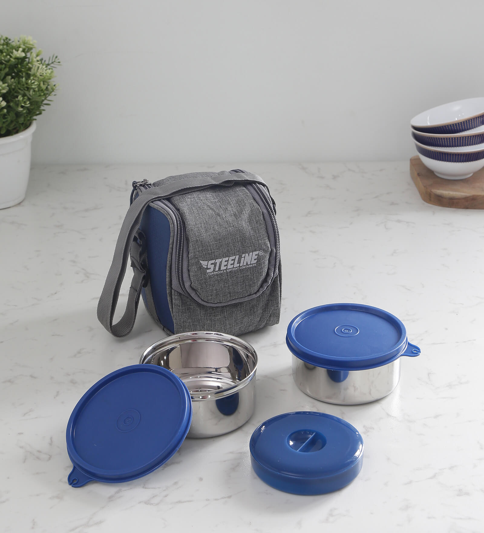 Buy Flexi Blue Stainless Steel 2Pcs Container Lunch Box With Carry ...