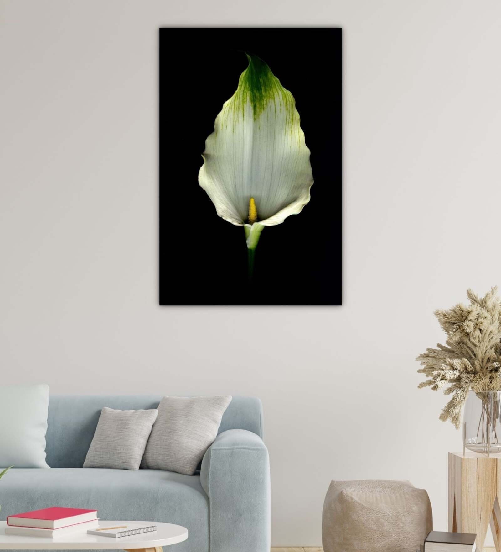 Floral Black Wood Framed Floral Art Print
