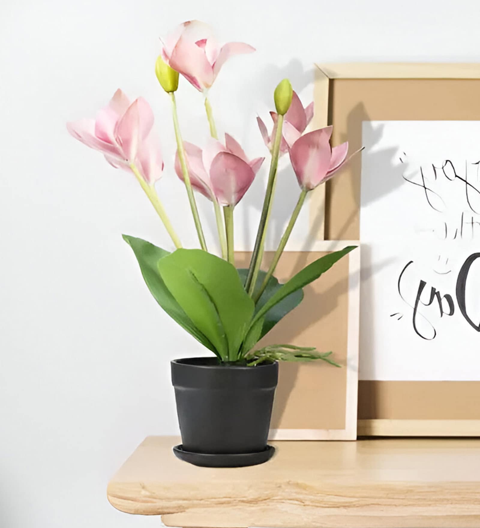 Seven Heads Whelan Flowers