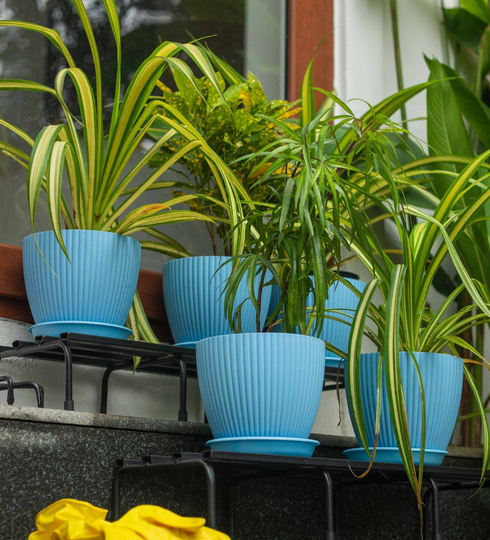 Fluted Dome Plastic Planter with Tray Set of 5 Blue