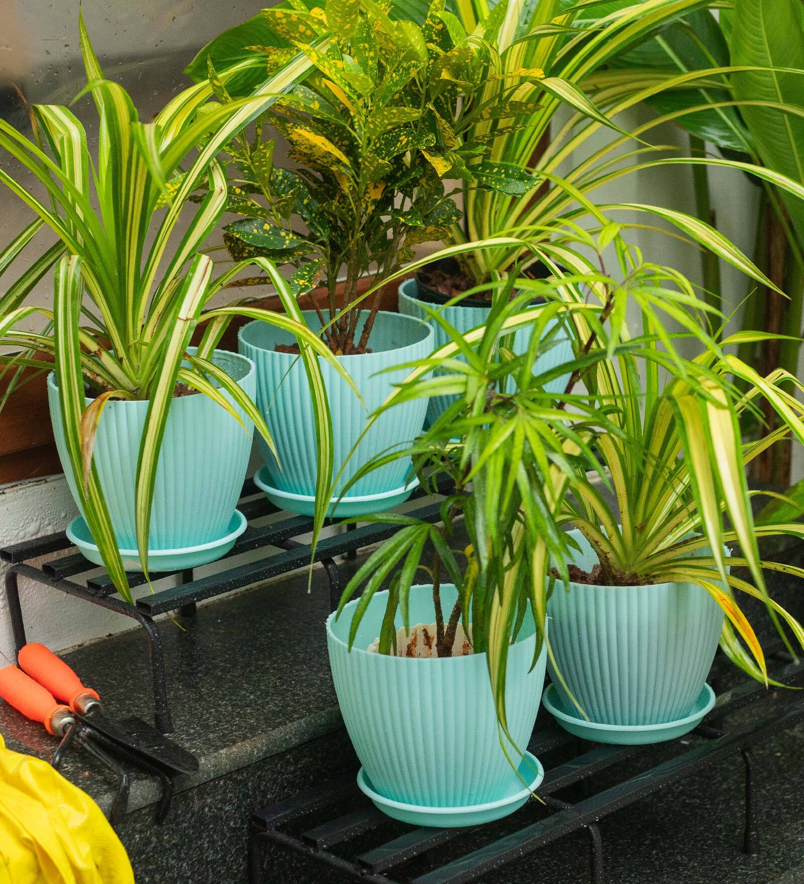 Fluted Dome Plastic Planter with Tray Set of 5 Mint