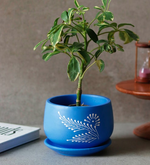 Floral Blue & White Colour Terracotta Desk Pot
