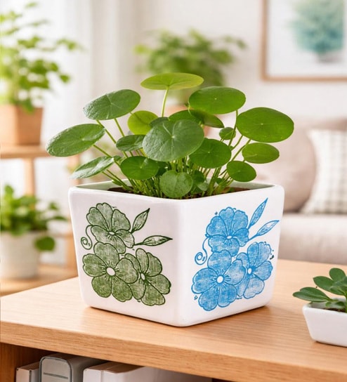 Floral Print Square Ceramic Planter Pot