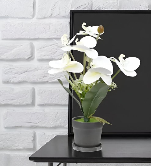 Seven Heads Butterfly Orchid Flowers - White - 16 Inches