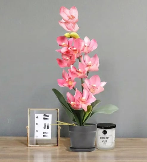 Ten Heads Whelan Flowers - Dark Pink - 16 Inches