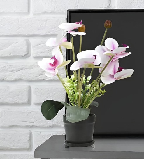 Seven Heads Butterfly Orchid Flowers - Purple - 16 Inches