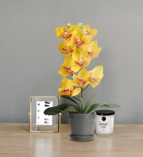 Ten Heads Whelan Flowers - Orange - 16 Inches
