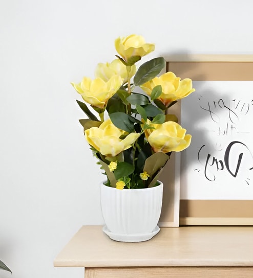 Six Heads Magnolia Flowers - Yellow - 18 Inches