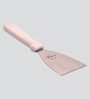 Flair Stainless Steel Scrapper,3 Inch
