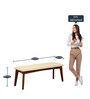 Flair Sheesham Wood Bench In Provincial Teak Finish