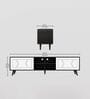Flaire TV Console In Black & White Finish