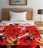 Flannel 240 GSM AC Room Double Bed Comforter in Multicolor