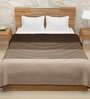 Brown Polyester 400 GSM Double Bed Room Temperature Blanket