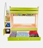 Multi Flexi Bunk Bed in Green Colour with Drawer Storage