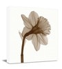 Flickering Brown Flowers Canvas Prints Wall Art Large Modern Abstract Floral Pictures Paintings for Living Room Bedroom Home Decorations