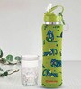 Flip Bot Rubber Finish 750 ml Green Stainless Steel  Sipper