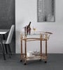 Flora Bar Trolley in Gold Colour