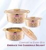 Floraa Royale Pink Plastic & Steel 3Pcs Insulated Thermoware Casserole