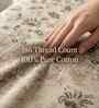 Floral Beige Spring Glory Cotton186 TC Single Bedsheet With 1 Pillow Cover