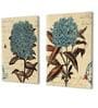 Floral Multicolour Synthetic Wood (Set of 2) Art Prints