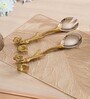 Aviary Feast Salad Set