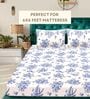 Blue Floral Cotton Queen Double Size Bed Sheet With 2 Pillow Covers
