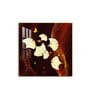 Floral Essence Glass Finish Square Wall Art