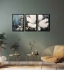 Floral Multicolour Canvas & MDF (Set of 3) Framed Art Panels