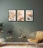 Floral Multicolour Canvas & MDF (Set of 3) Framed Art Panels