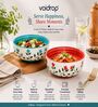Aqua Blue and Red Floral Print Ceramic Snack Bowl Set of 2 300ML Serving Bowls