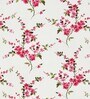 Pink Floral 144 TC Cotton King Size  King Size Bedsheet With 2 Pillow Cover