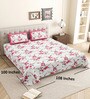 Pink Floral 144 TC Cotton King Size  King Size Bedsheet With 2 Pillow Cover