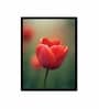 Floral Printed Canvas Wall Art