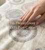 Floral White Spring Glory Cotton186 TC Single Bedsheet With 1 Pillow Cover