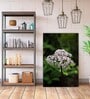 Floral Ariadne White Wood Framed Floral Art Print